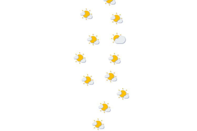 Forecast