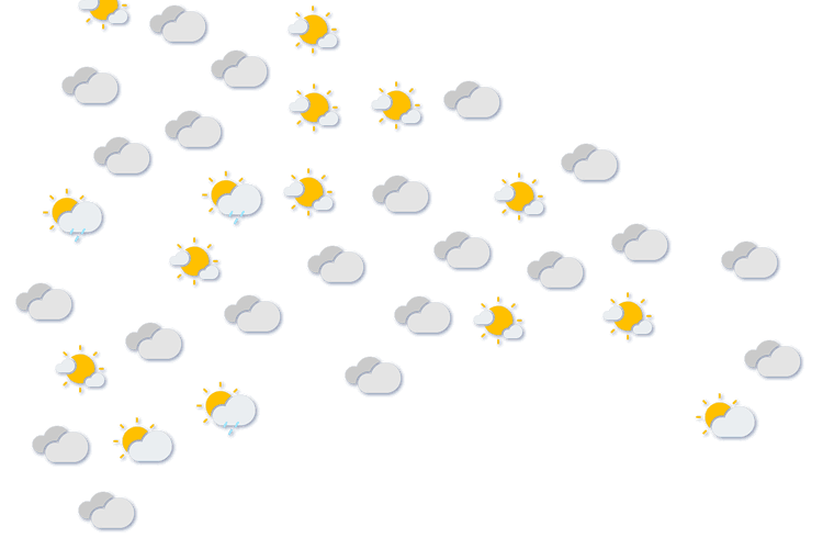 Forecast
