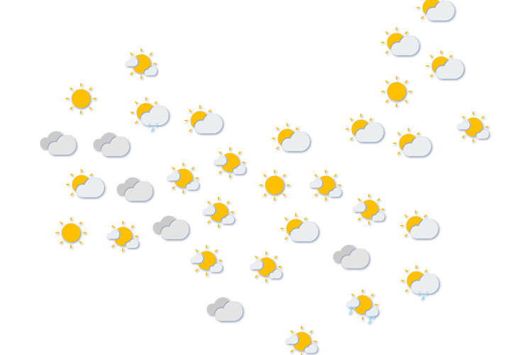 Forecast