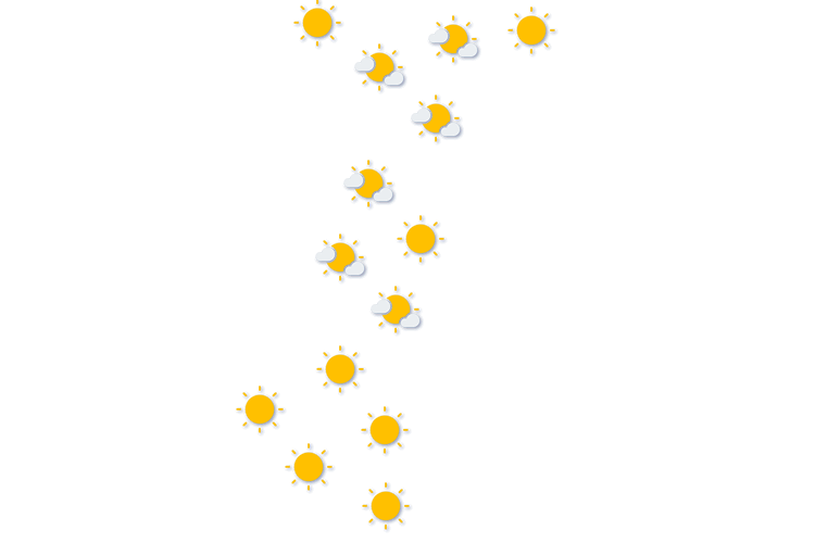 Forecast