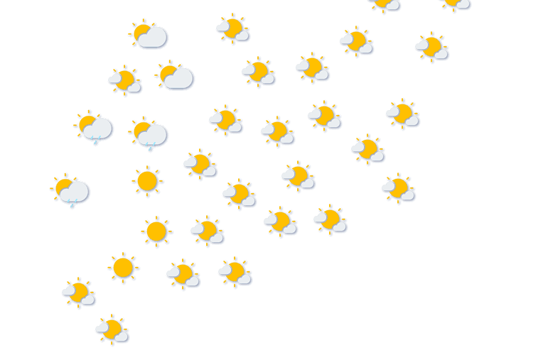 Forecast