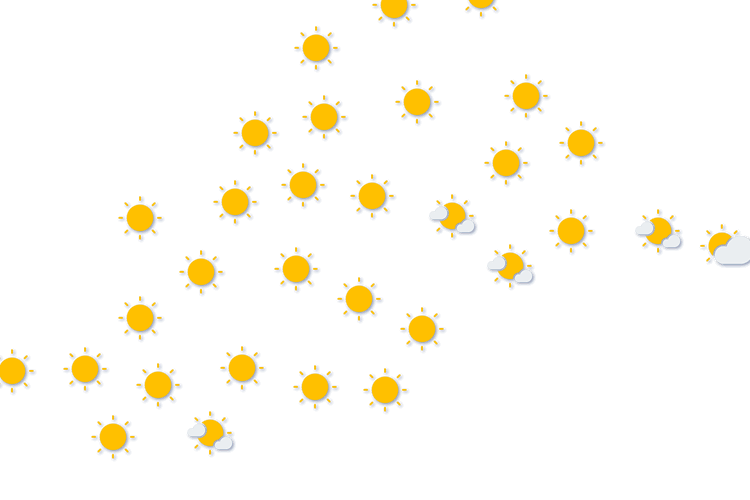 Forecast