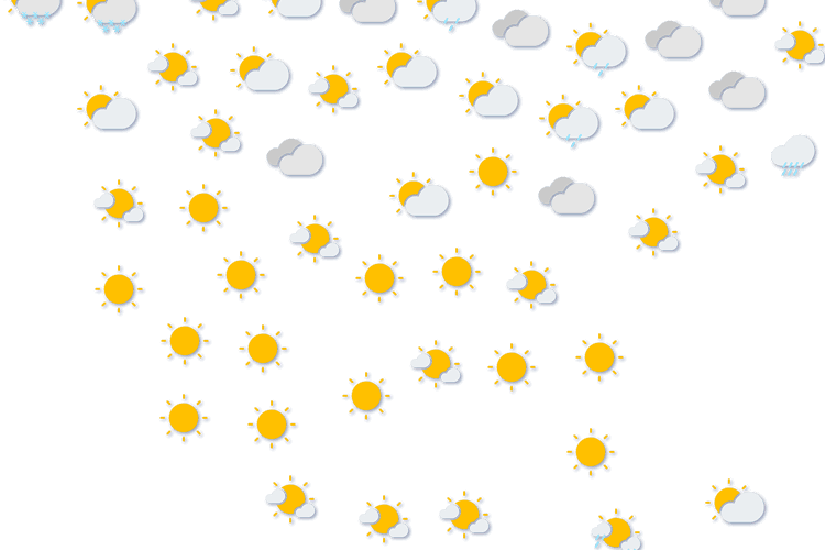 Forecast