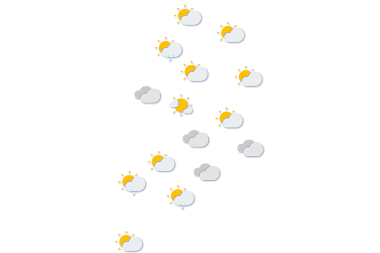 Forecast