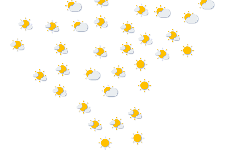 Forecast