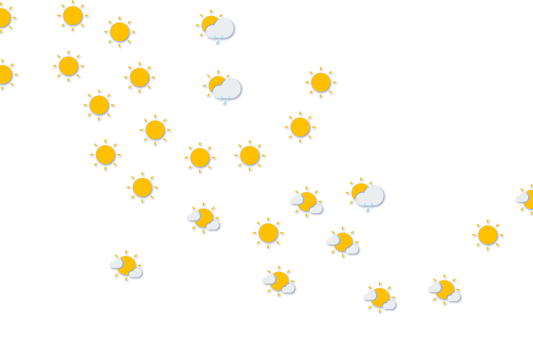 Forecast
