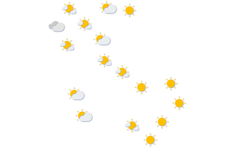 Forecast