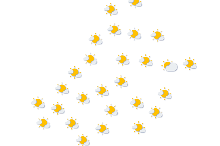 Forecast