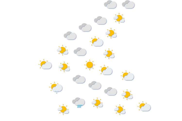 Forecast