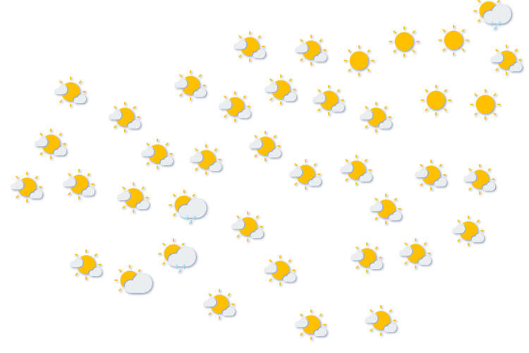 Forecast