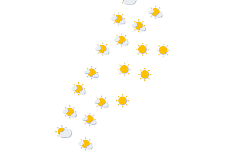 Forecast