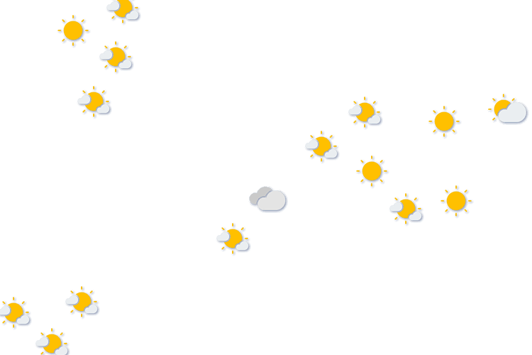 Forecast