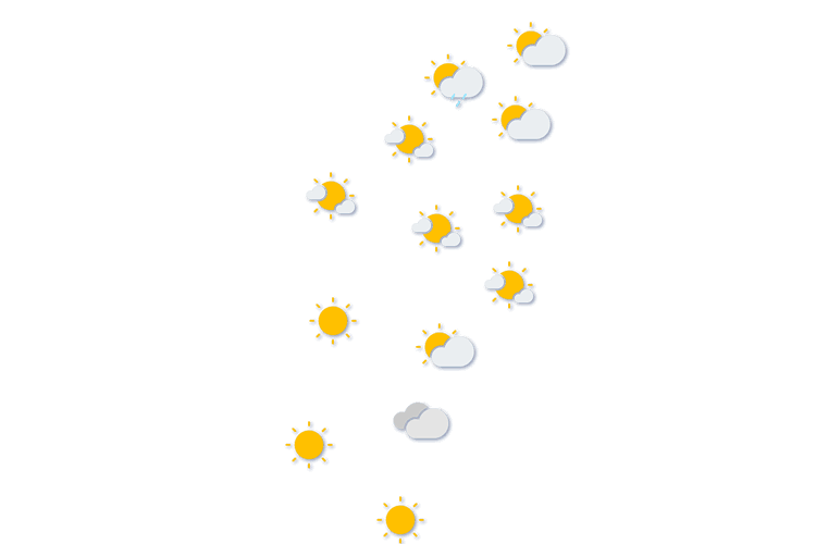 Forecast