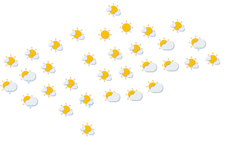 Forecast