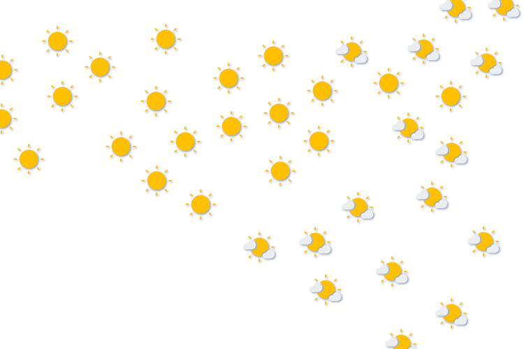 Forecast