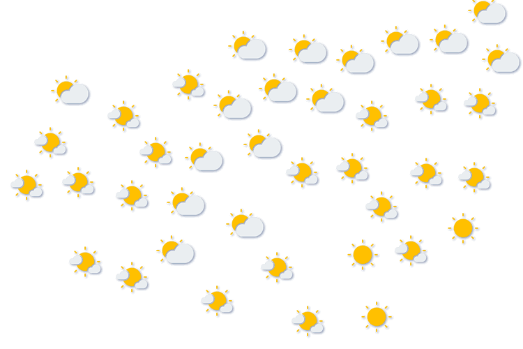Forecast