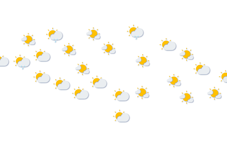 Forecast