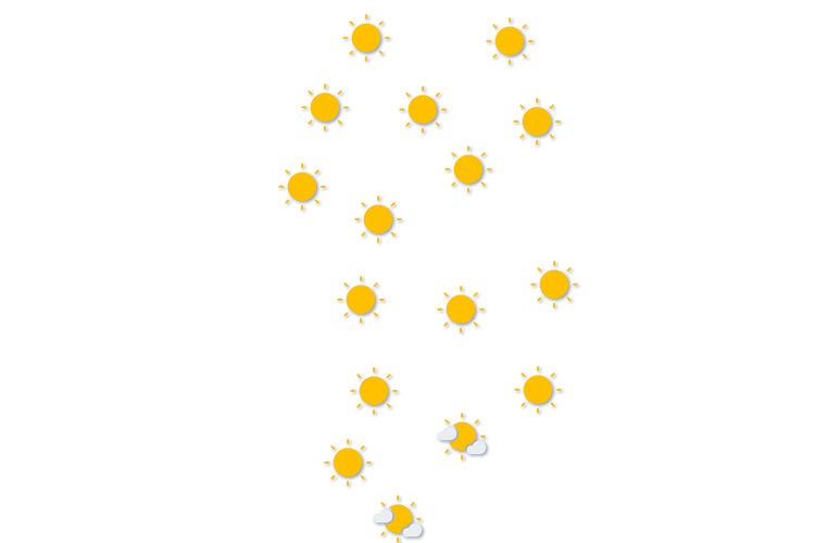 Forecast