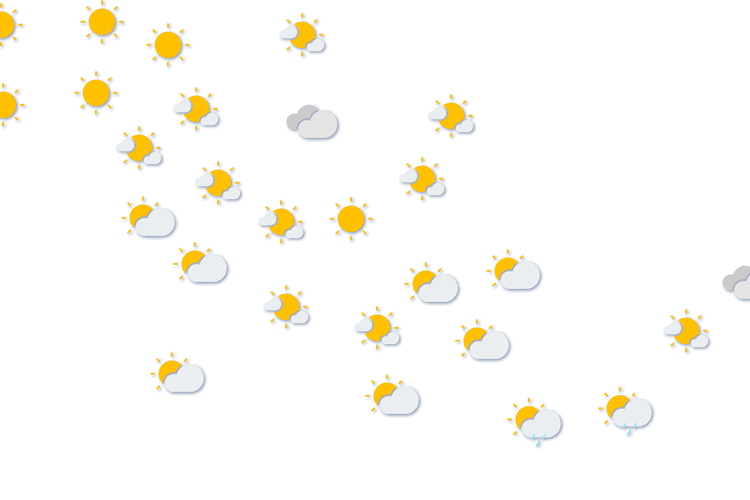 Forecast