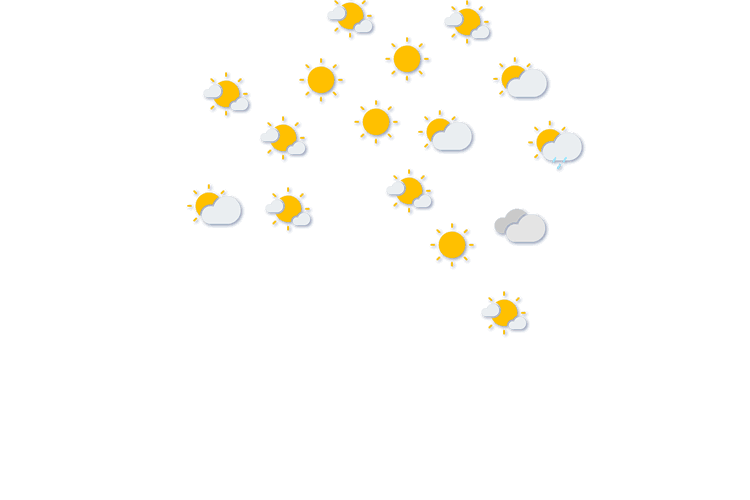 Forecast
