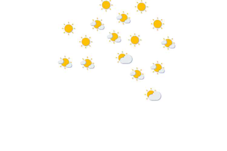 Forecast