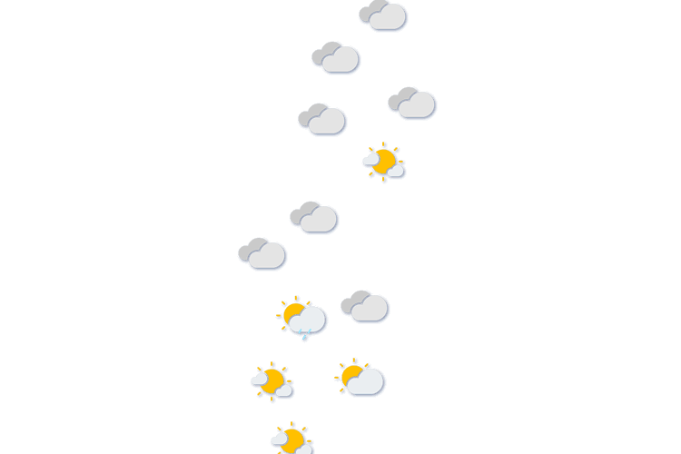 Forecast