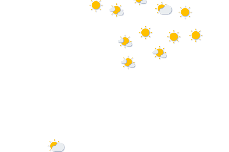 Forecast