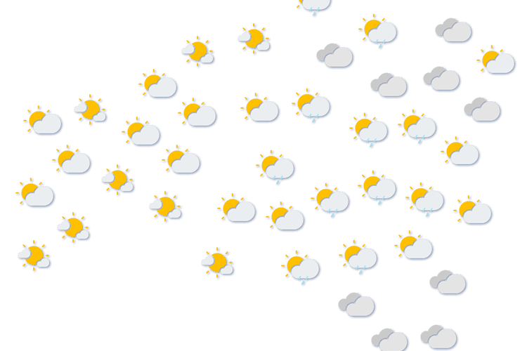Forecast
