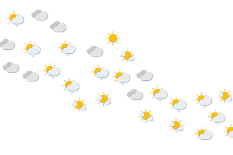 Forecast