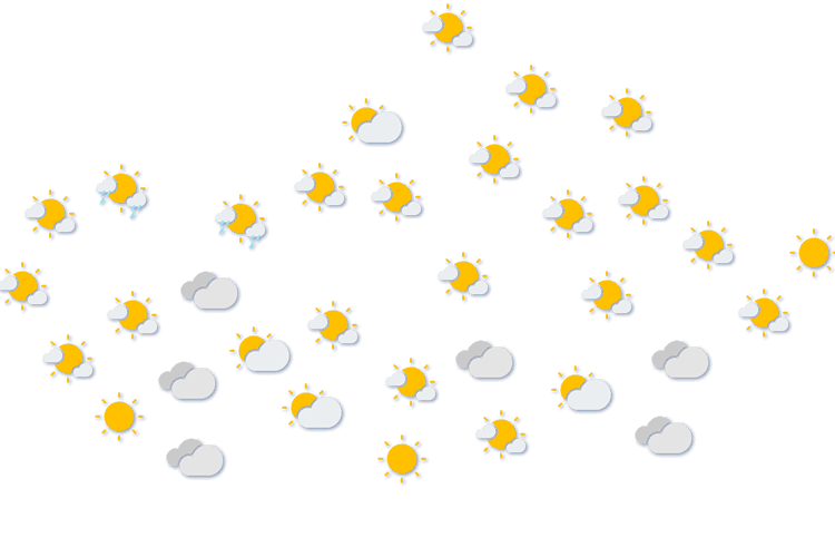 Forecast