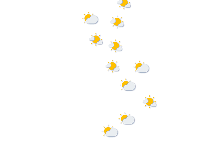 Forecast