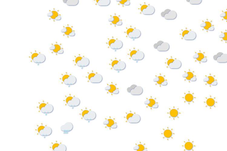 Forecast