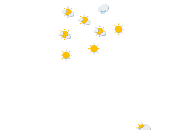 Forecast
