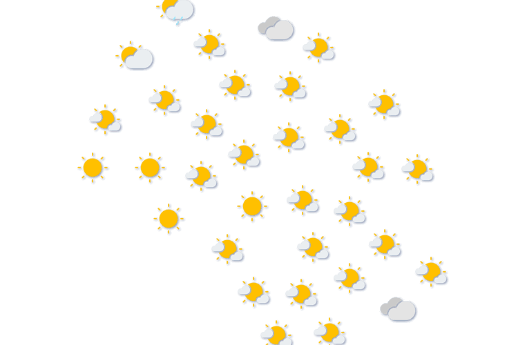 Forecast