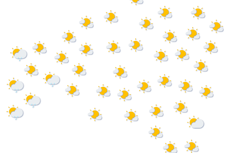 Forecast
