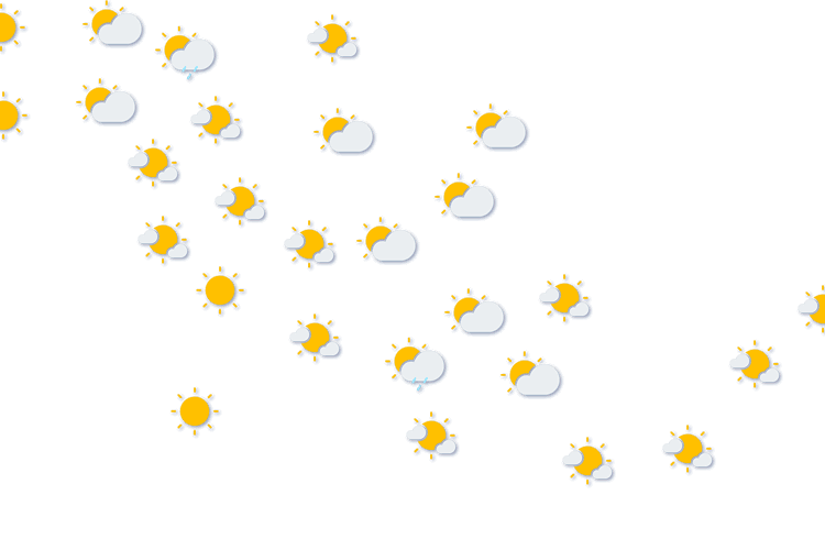 Forecast