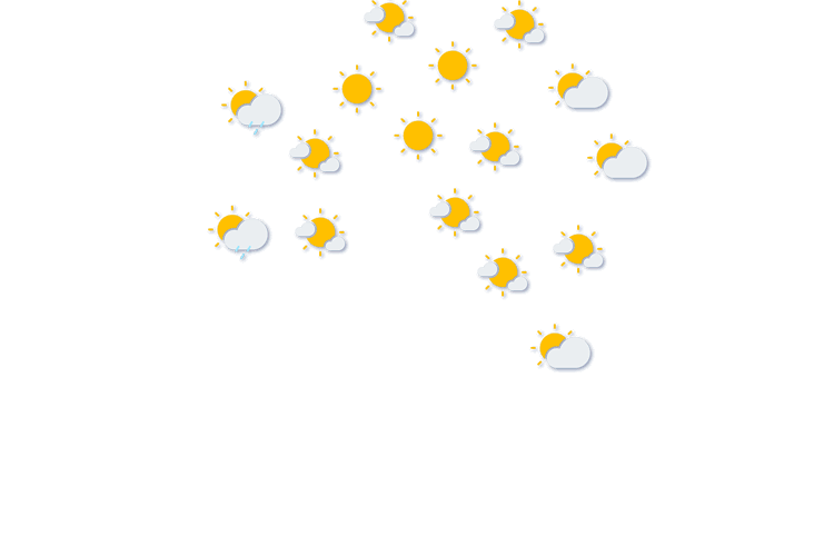 Forecast