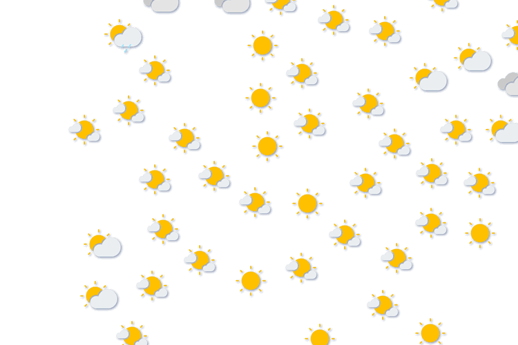 Forecast