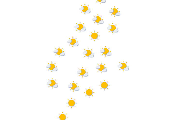 Forecast