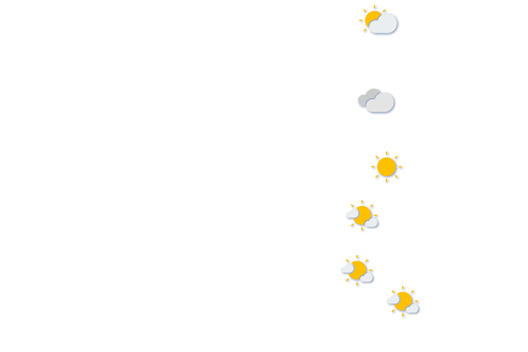 Forecast