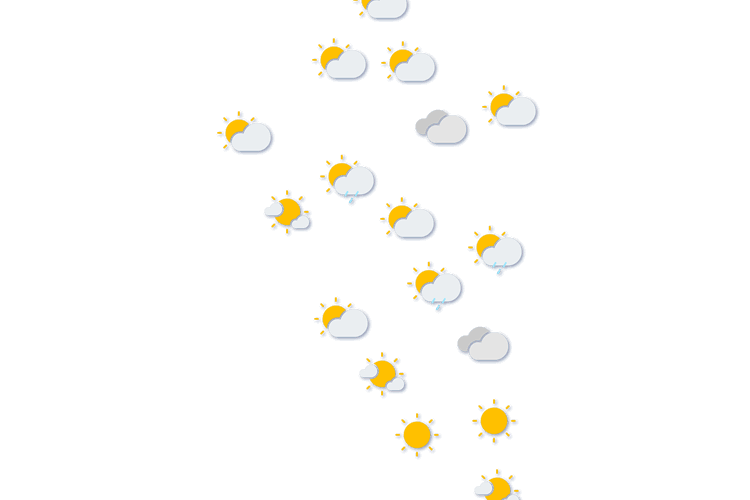 Forecast
