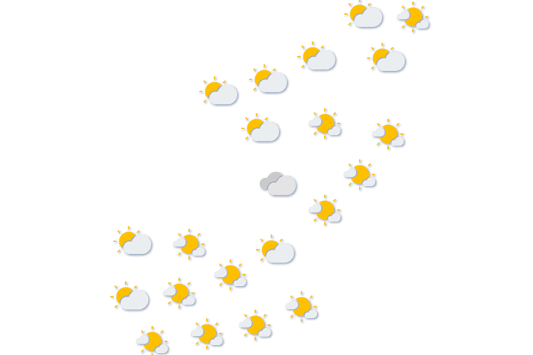 Forecast
