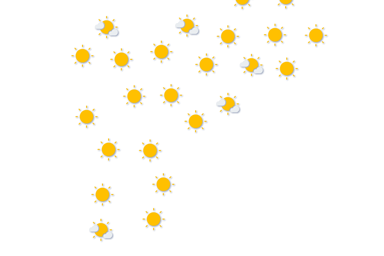 Forecast