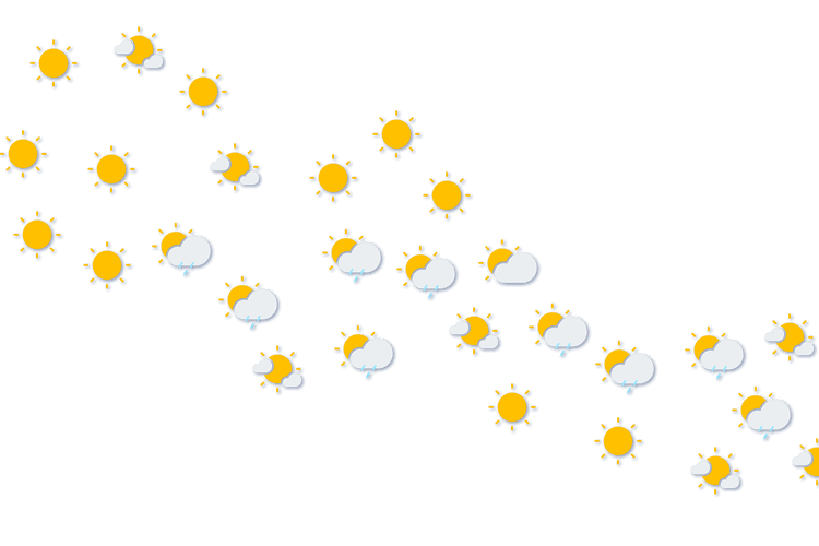 Forecast