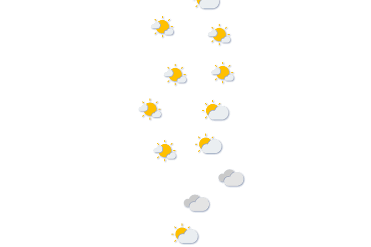 Forecast
