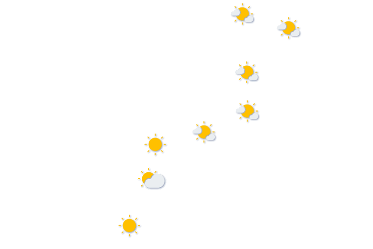 Forecast