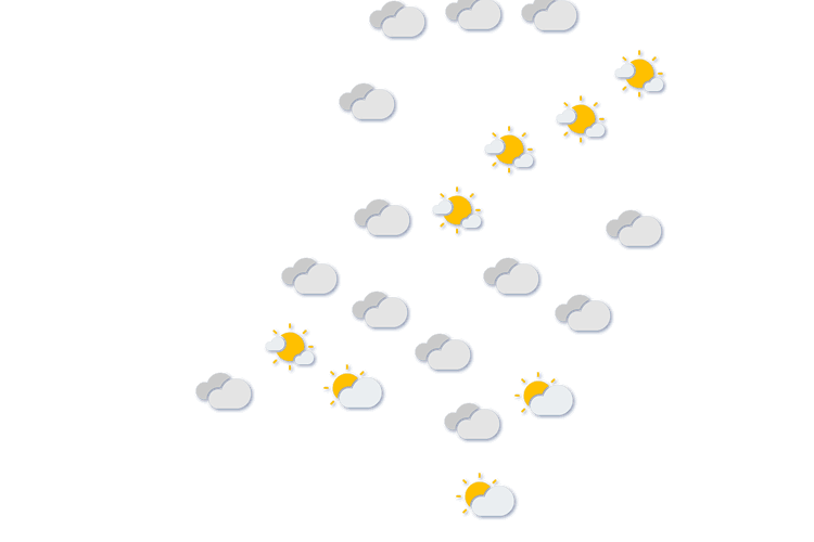 Forecast