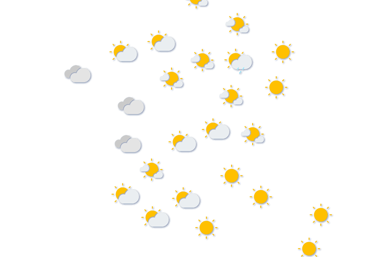Forecast