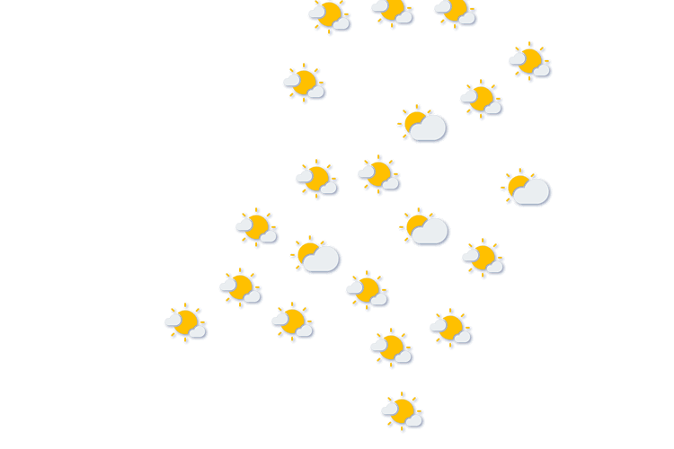 Forecast