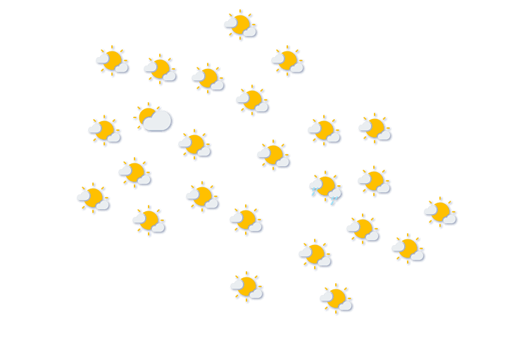 Forecast